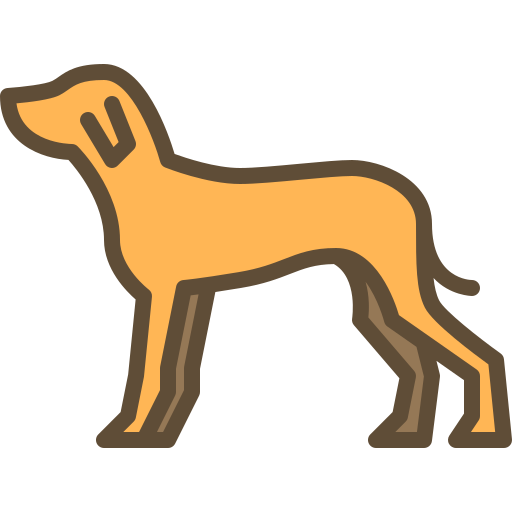 perro Berkahicon Lineal Color icono