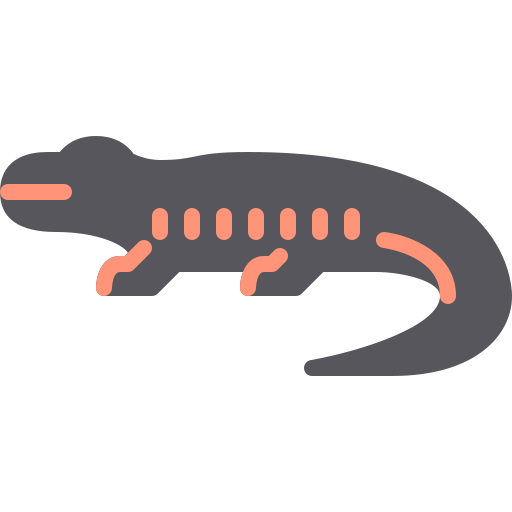 salamandra Berkahicon Flat ikona