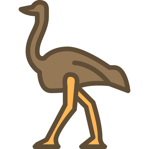 avestruz Berkahicon Lineal Color icono