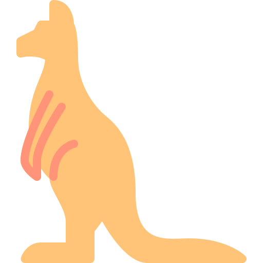 Kangaroo Berkahicon Flat icon