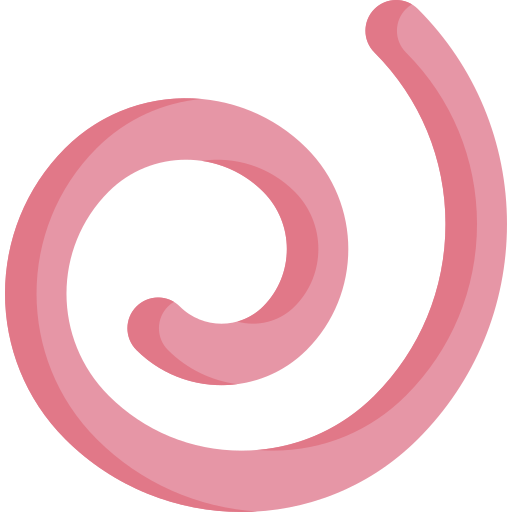 Spiral Special Flat icon