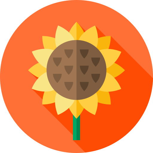 girasol Flat Circular Flat icono