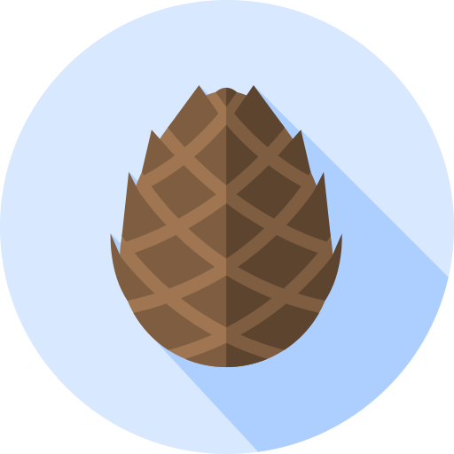 cono de pino Flat Circular Flat icono