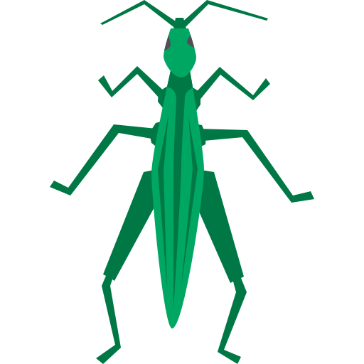 Grasshopper Cartoon Flat icon