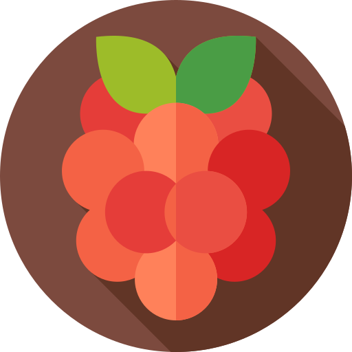 Berry Flat Circular Flat icon