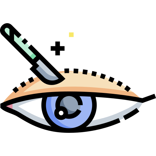 pálpebra Detailed Straight Lineal color Ícone