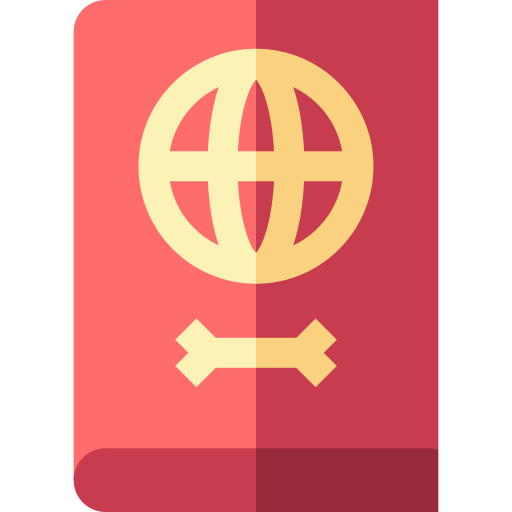 pasaporte Basic Straight Flat icono