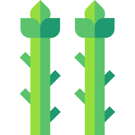 asparago Basic Straight Flat icona