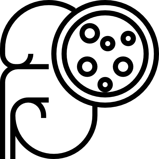 泌尿器科 Meticulous Line icon