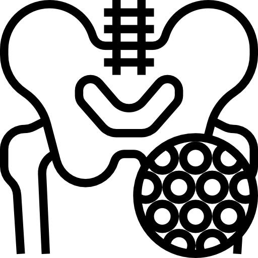 뼈 Meticulous Line icon