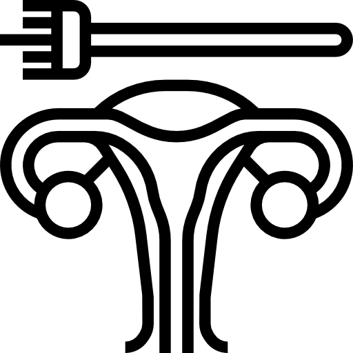 Uterus Meticulous Line icon