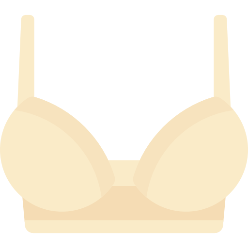 Brassiere Special Flat icon