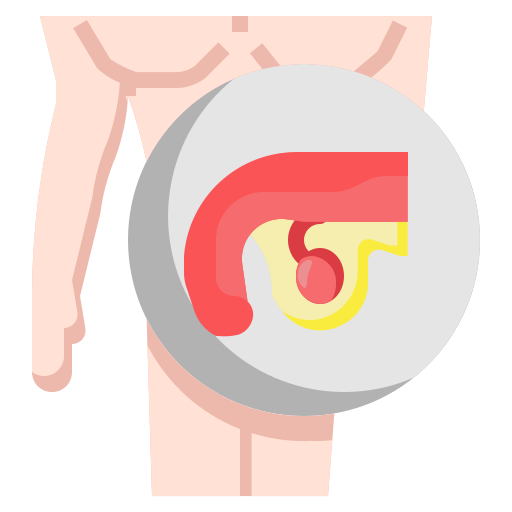 生殖器系 Surang Flat icon