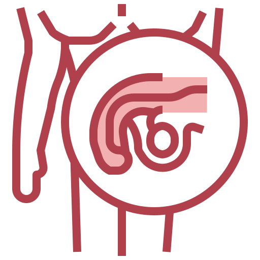 Reproductive system Surang Red icon