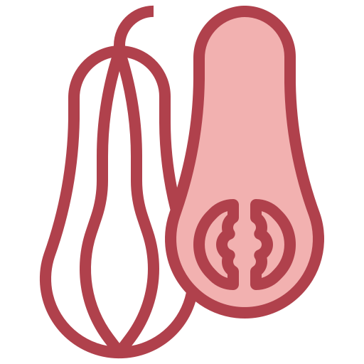 butternut Surang Red icon