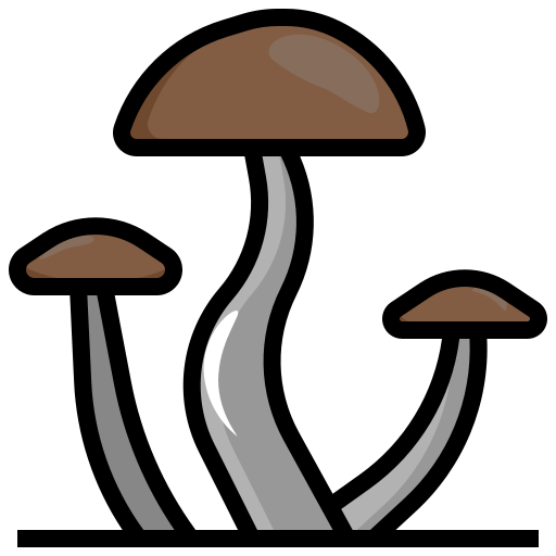 버섯 Surang Lineal Color icon