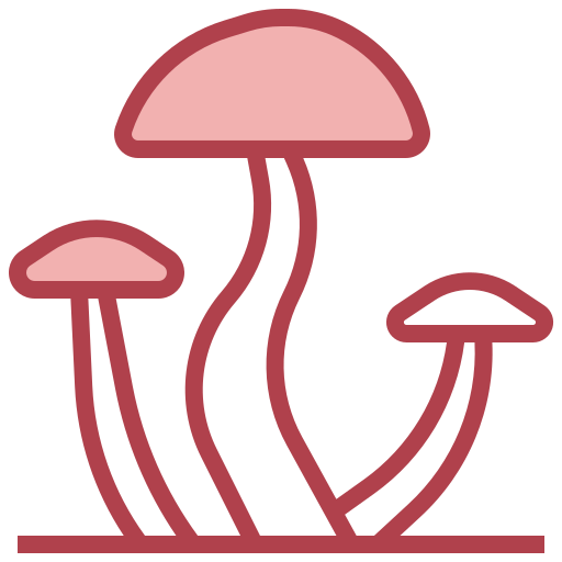 버섯 Surang Red icon