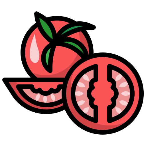 tomate Surang Lineal Color icono