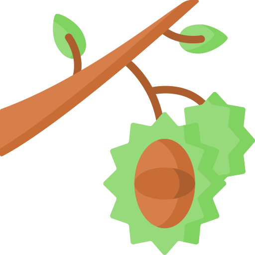 Chestnut Special Flat icon