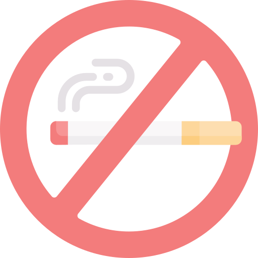 No smoking Special Flat icon