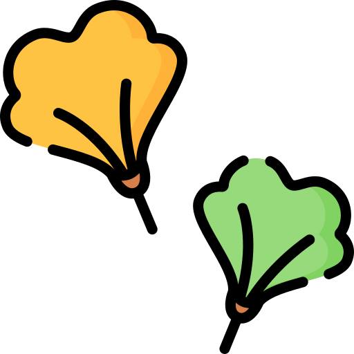 Ginkgo Special Lineal color icon