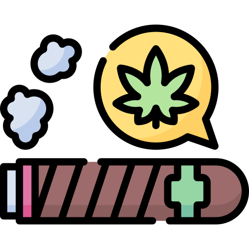 Cigar Special Lineal color icon