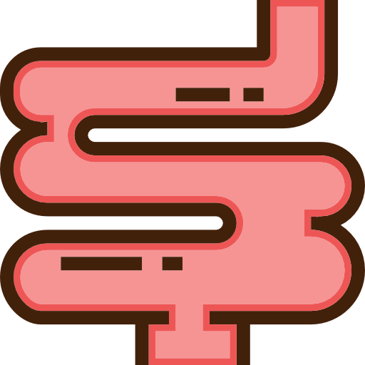 intestino Smooth Contour Linear color icono