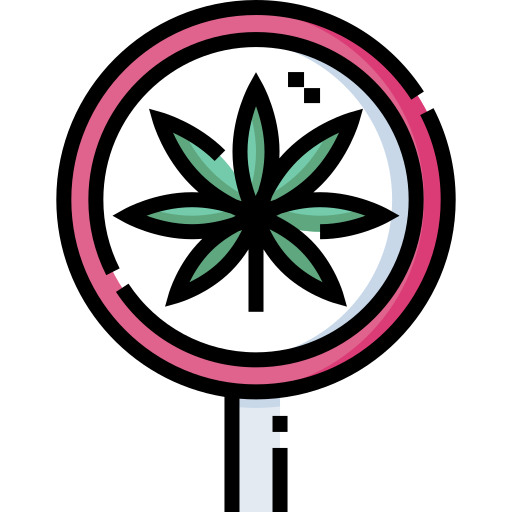 cannabis Detailed Straight Lineal color icon