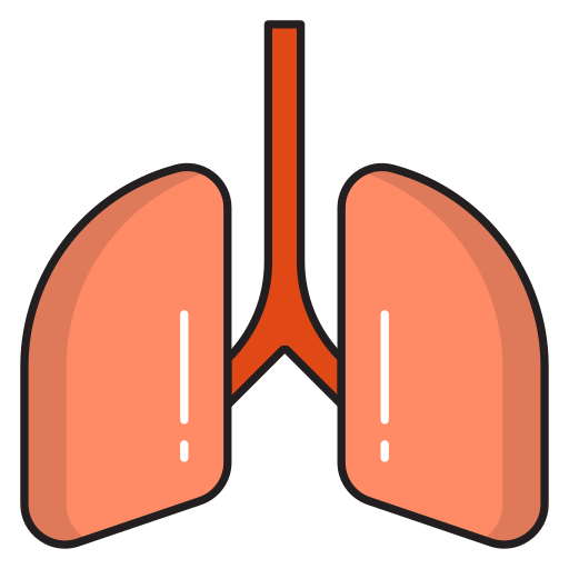 pulmões Vector Stall Lineal Color Ícone