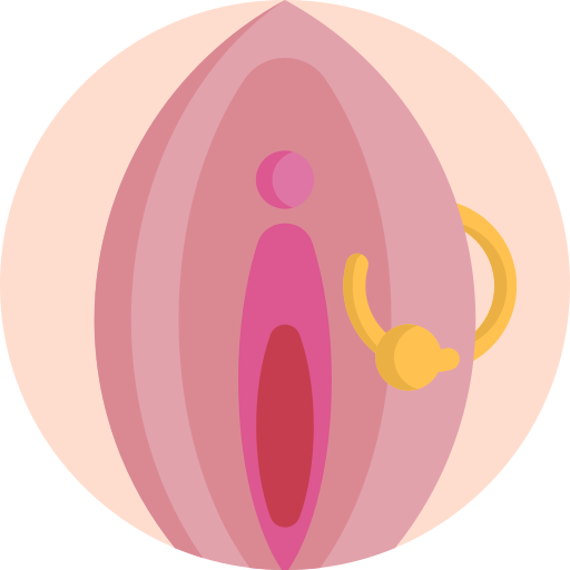 vagina Detailed Flat Circular Flat icoon