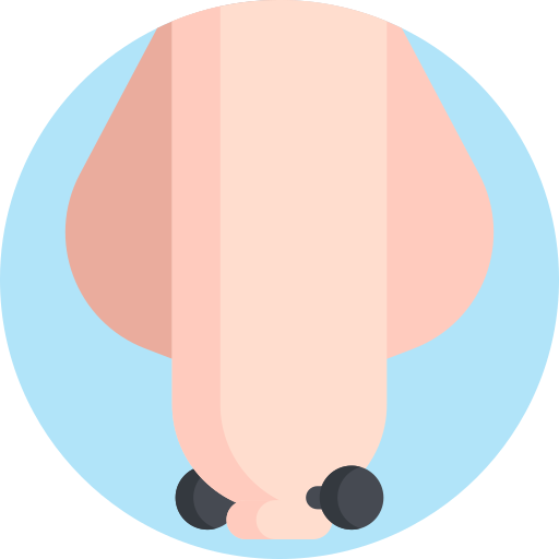penis Detailed Flat Circular Flat ikona
