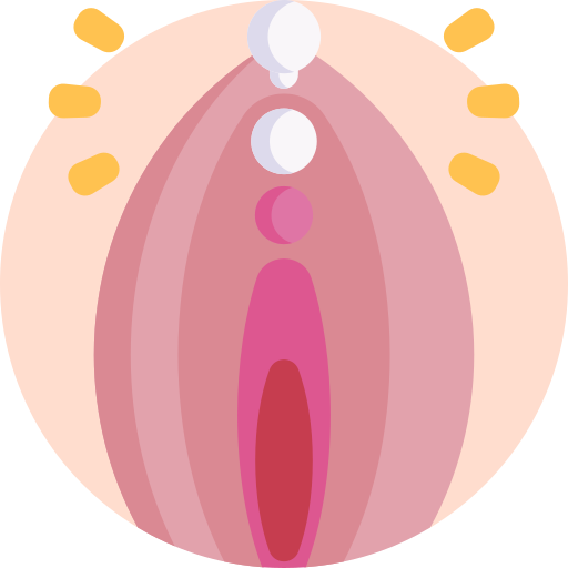 Vagina Detailed Flat Circular Flat icon