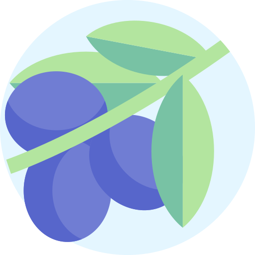 oliven Detailed Flat Circular Flat icon