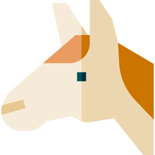 pferd Basic Straight Flat icon