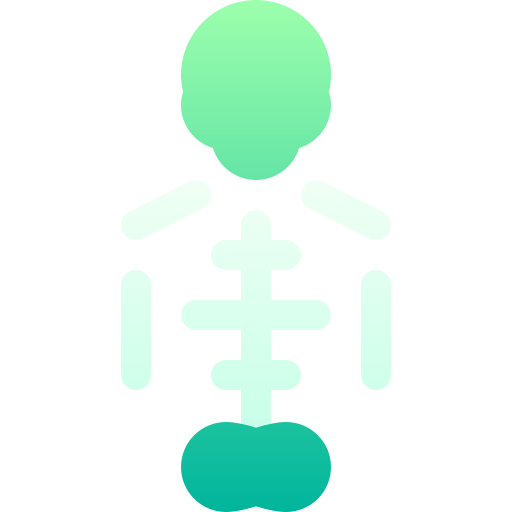 Skeleton Basic Gradient Gradient icon