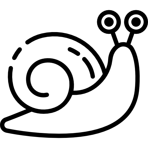 escargot Special Lineal Icône