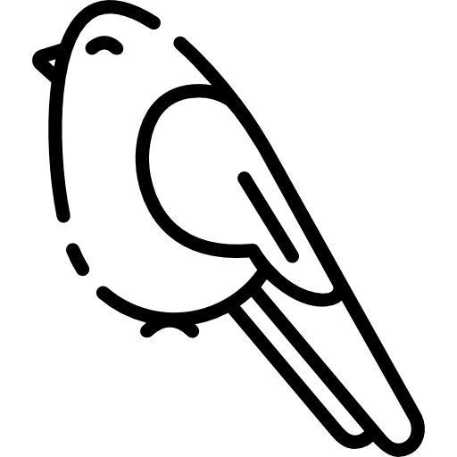 oiseau Special Lineal Icône