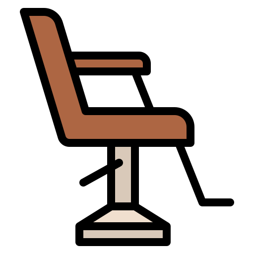 silla de salón Iconixar Lineal Color icono