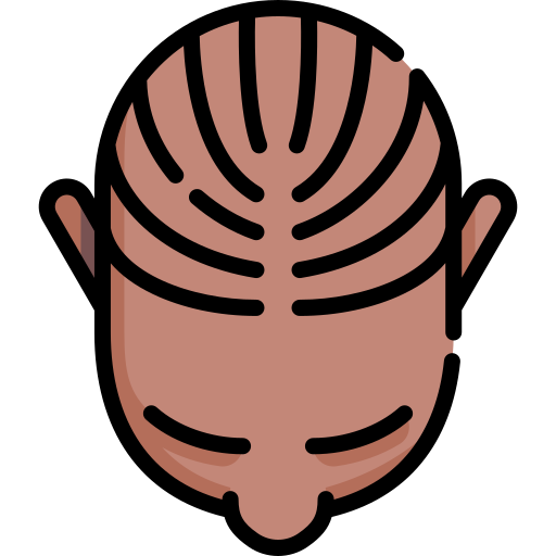 cornrows Special Lineal color icono