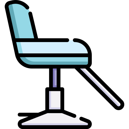 silla de salón Special Lineal color icono