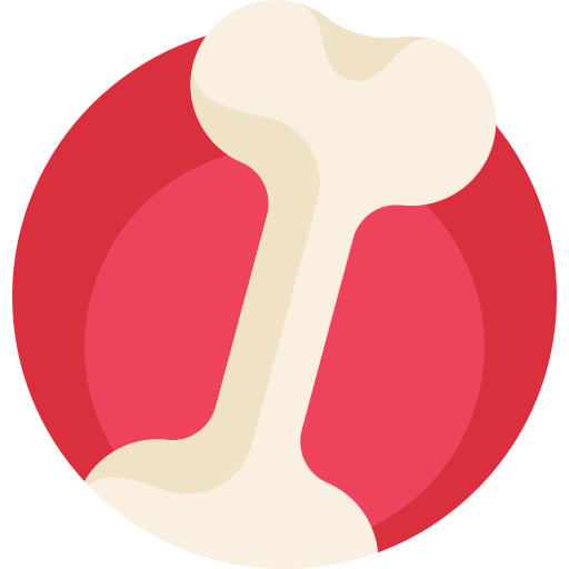 Bone Detailed Flat Circular Flat icon