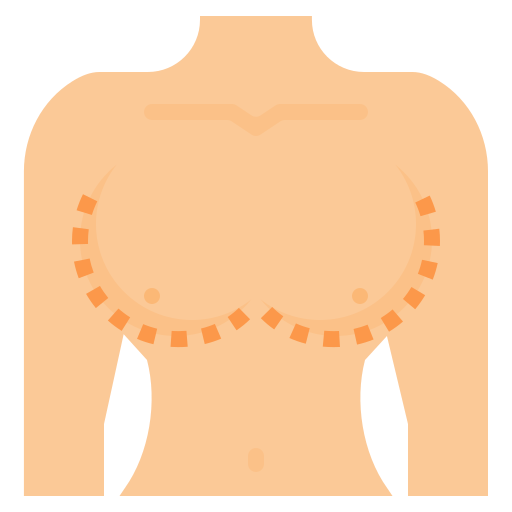 brüste dDara Flat icon