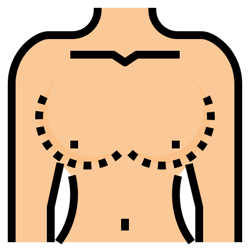 brüste dDara Lineal Color icon