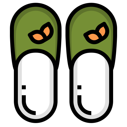 slippers dDara Lineal Color icoon