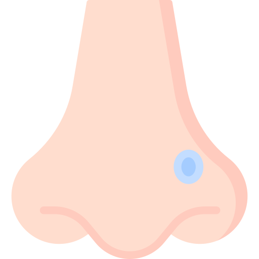 Piercing Special Flat icon