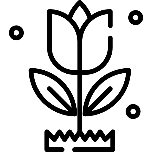 tulipan Special Lineal ikona