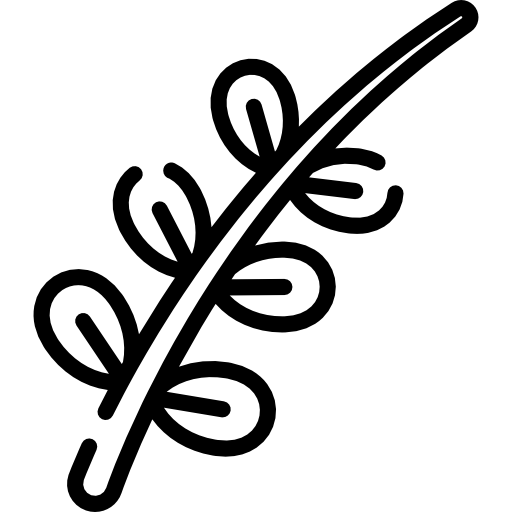 柳 Special Lineal icon