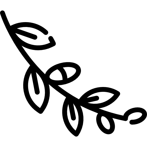 Ива Special Lineal иконка