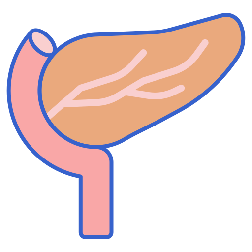 pancreas Flaticons Lineal Color icona