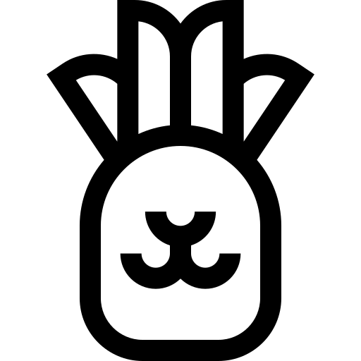 ananas Basic Straight Lineal Icône